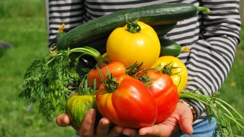 インシルのスープは完全無添加で作られています。素材の加工工程、製造工程で一切添加物が使われていないものを使用。